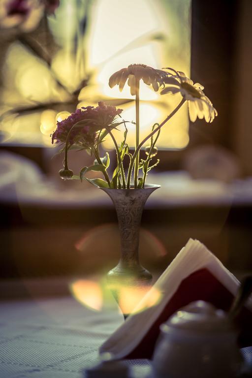Bed and Breakfast W Starym Mlynie Milicz Esterno foto